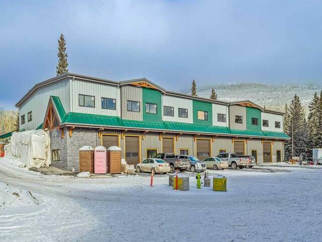 1105A, 100 Alpine Meadows Canmore