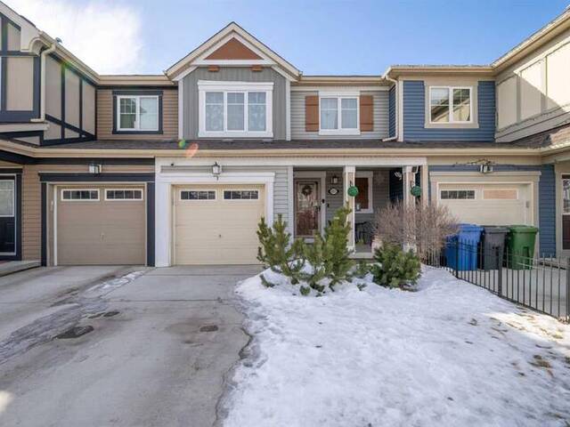 257 Viewpointe Terrace Chestermere