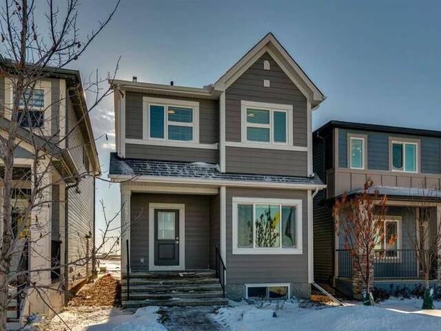 251 Cornerbrook Road NE Calgary