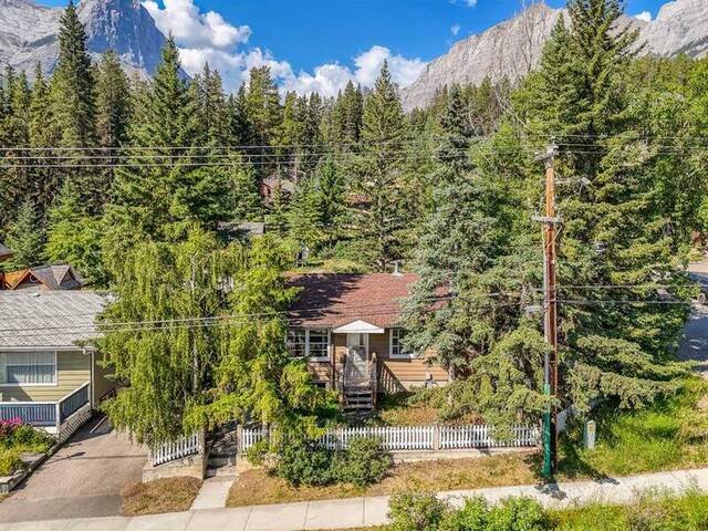 297 Three Sisters Drive Canmore
