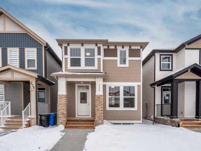 224 Cornerbrook Drive NE Calgary