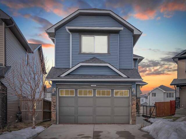 39 Skyview Shores Court NE Calgary