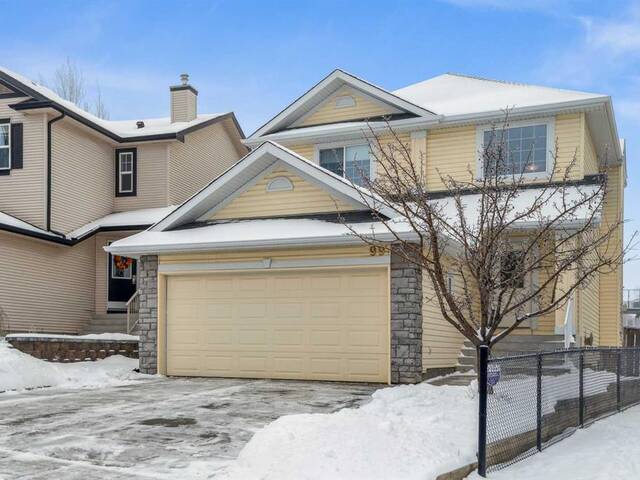 99 Royal Birch Circle NW Calgary